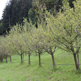 Wandertag im Alpenvorland - 17.9.22