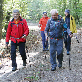 Wandertag in Hollabrunn - 12.10.2024